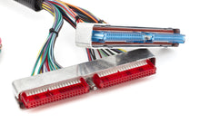 LS1 ECU Wiring Harness - 12480113