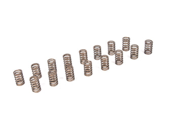Small-Block Valve Spring Kit (CT350) - 19154761