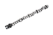 Small-Block Hydraulic Roller Camshaft (Lift: .539 /.558) - 19244485