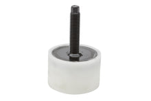 Rear Suspension Coil Spring Insulator - 88958744