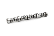 LS American Speed Association Hydraulic Roller Racing Camshaft - 88958770